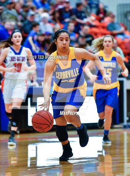Thumbnail 1 in Two Rivers vs. Cedarville (AAA 3A Regional Playoff) photogallery.