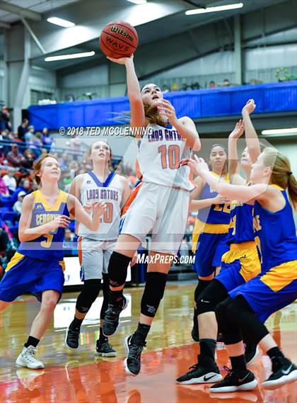 Thumbnail 2 in Two Rivers vs. Cedarville (AAA 3A Regional Playoff) photogallery.