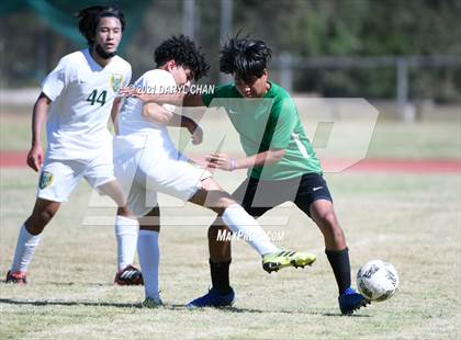 Thumbnail 3 in Temple City @ Blair photogallery.