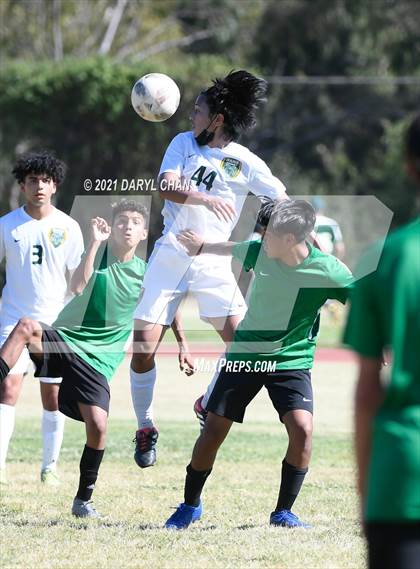 Thumbnail 3 in Temple City @ Blair photogallery.