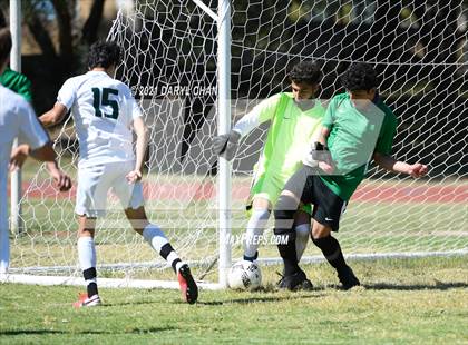 Thumbnail 2 in Temple City @ Blair photogallery.