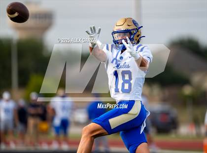Thumbnail 1 in Alamo Heights @ Clemens photogallery.