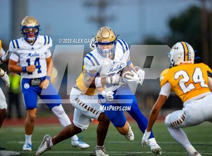 Thumbnail 3 in Alamo Heights @ Clemens photogallery.