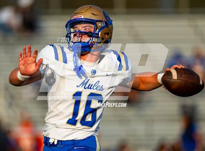 Thumbnail 2 in Alamo Heights @ Clemens photogallery.