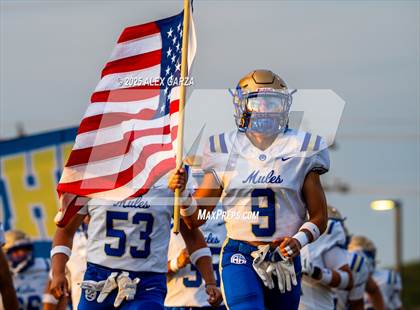 Thumbnail 1 in Alamo Heights @ Clemens photogallery.