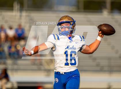 Thumbnail 2 in Alamo Heights @ Clemens photogallery.