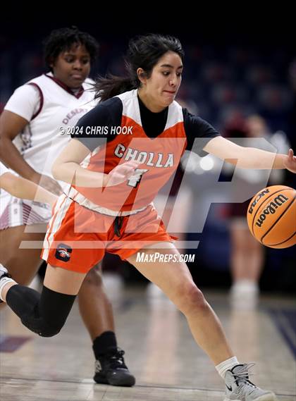 Thumbnail 2 in Cholla vs Desert View (MLK Basketball Classic) photogallery.