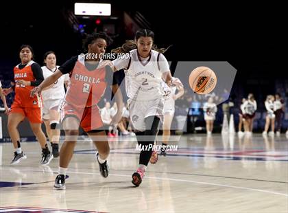 Thumbnail 3 in Cholla vs Desert View (MLK Basketball Classic) photogallery.