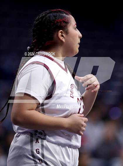 Thumbnail 3 in Cholla vs Desert View (MLK Basketball Classic) photogallery.