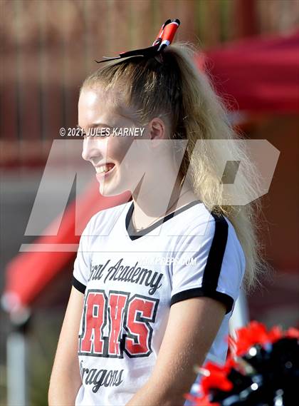 Thumbnail 2 in Del Sol @ Doral Academy Red Rock photogallery.