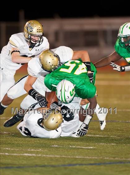 Thumbnail 3 in Fossil Ridge @ Newman Smith photogallery.