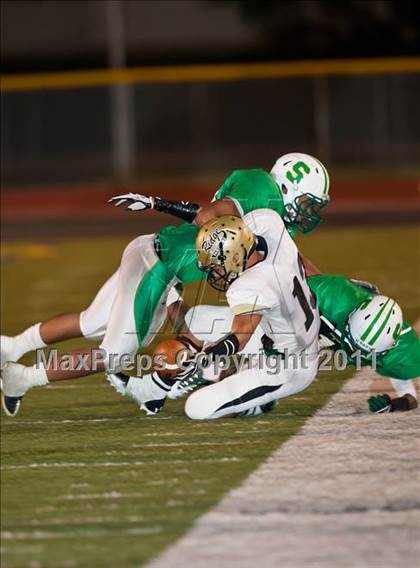 Thumbnail 3 in Fossil Ridge @ Newman Smith photogallery.