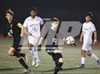 Photo from the gallery "Brighton @ McQuaid Jesuit (NYSPHSAA Section 5 Class A Final)"