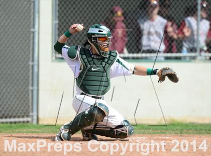 Thumbnail 3 in Sheehan @ Hamden photogallery.