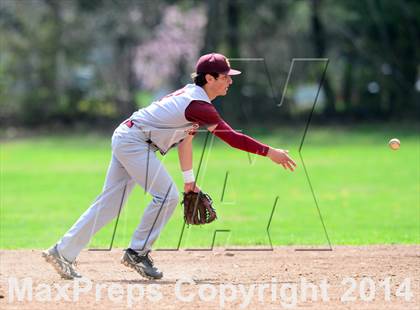 Thumbnail 1 in Sheehan @ Hamden photogallery.