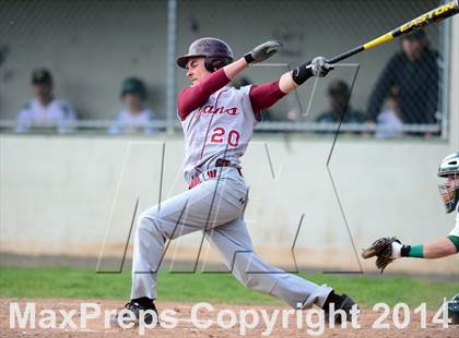 Thumbnail 3 in Sheehan @ Hamden photogallery.
