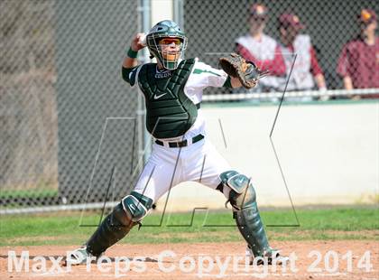 Thumbnail 3 in Sheehan @ Hamden photogallery.