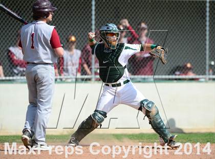 Thumbnail 2 in Sheehan @ Hamden photogallery.