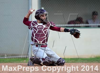 Thumbnail 3 in Sheehan @ Hamden photogallery.