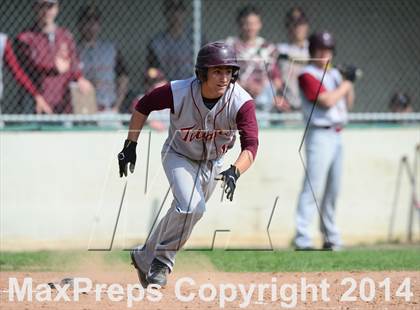 Thumbnail 2 in Sheehan @ Hamden photogallery.