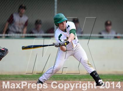 Thumbnail 3 in Sheehan @ Hamden photogallery.