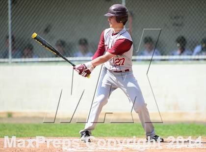 Thumbnail 3 in Sheehan @ Hamden photogallery.