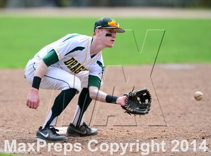 Thumbnail 3 in Sheehan @ Hamden photogallery.