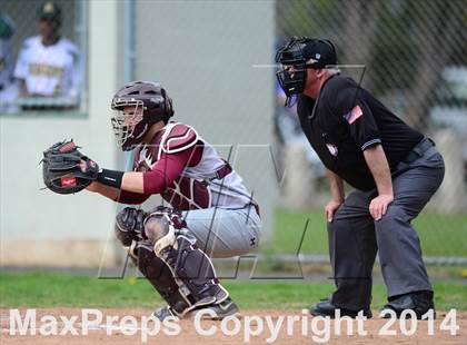 Thumbnail 1 in Sheehan @ Hamden photogallery.