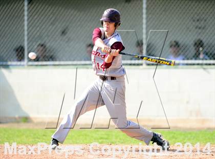 Thumbnail 3 in Sheehan @ Hamden photogallery.