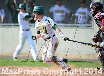 Thumbnail 2 in Sheehan @ Hamden photogallery.