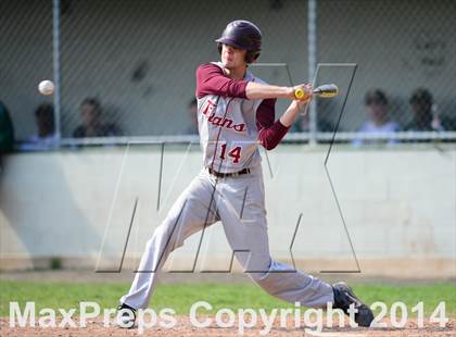 Thumbnail 3 in Sheehan @ Hamden photogallery.