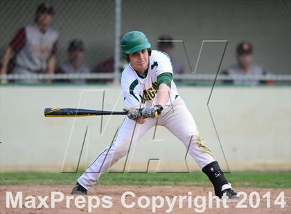 Thumbnail 1 in Sheehan @ Hamden photogallery.