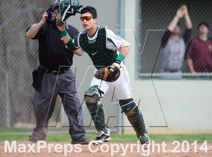 Thumbnail 3 in Sheehan @ Hamden photogallery.