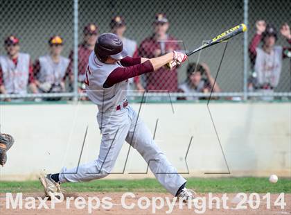 Thumbnail 1 in Sheehan @ Hamden photogallery.