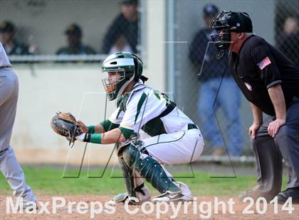 Thumbnail 3 in Sheehan @ Hamden photogallery.