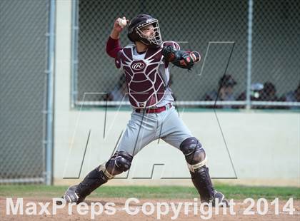 Thumbnail 1 in Sheehan @ Hamden photogallery.