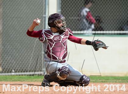 Thumbnail 1 in Sheehan @ Hamden photogallery.