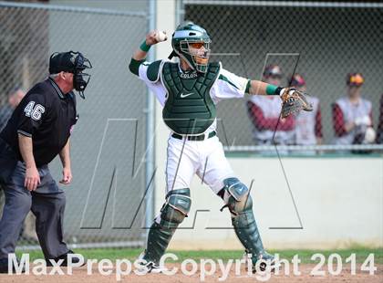 Thumbnail 3 in Sheehan @ Hamden photogallery.