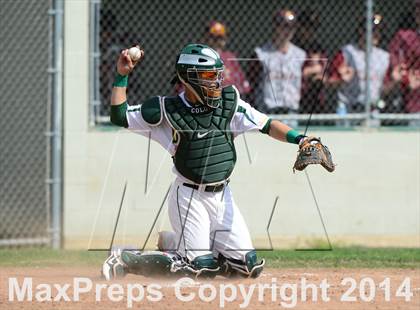Thumbnail 2 in Sheehan @ Hamden photogallery.