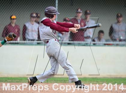 Thumbnail 2 in Sheehan @ Hamden photogallery.