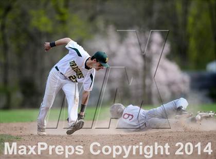 Thumbnail 1 in Sheehan @ Hamden photogallery.