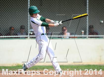 Thumbnail 3 in Sheehan @ Hamden photogallery.