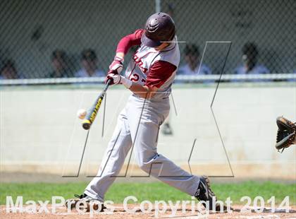 Thumbnail 3 in Sheehan @ Hamden photogallery.