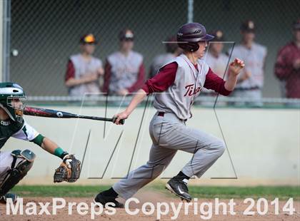 Thumbnail 1 in Sheehan @ Hamden photogallery.