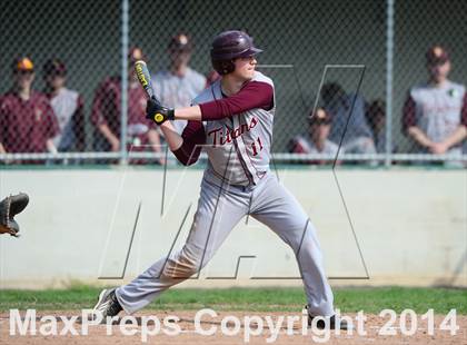 Thumbnail 1 in Sheehan @ Hamden photogallery.