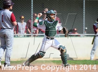 Thumbnail 3 in Sheehan @ Hamden photogallery.