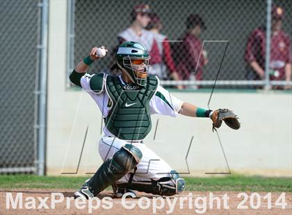 Thumbnail 1 in Sheehan @ Hamden photogallery.