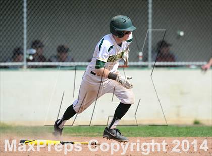 Thumbnail 1 in Sheehan @ Hamden photogallery.