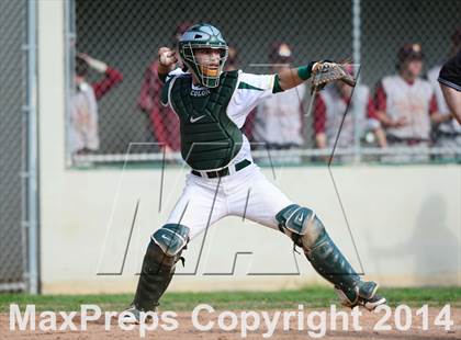 Thumbnail 1 in Sheehan @ Hamden photogallery.