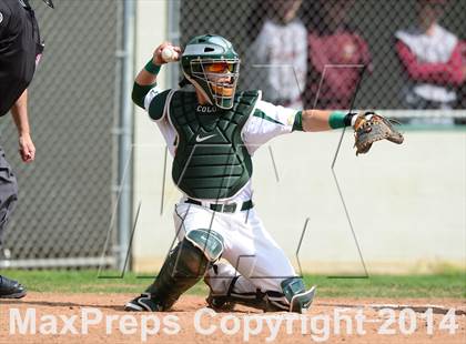 Thumbnail 1 in Sheehan @ Hamden photogallery.